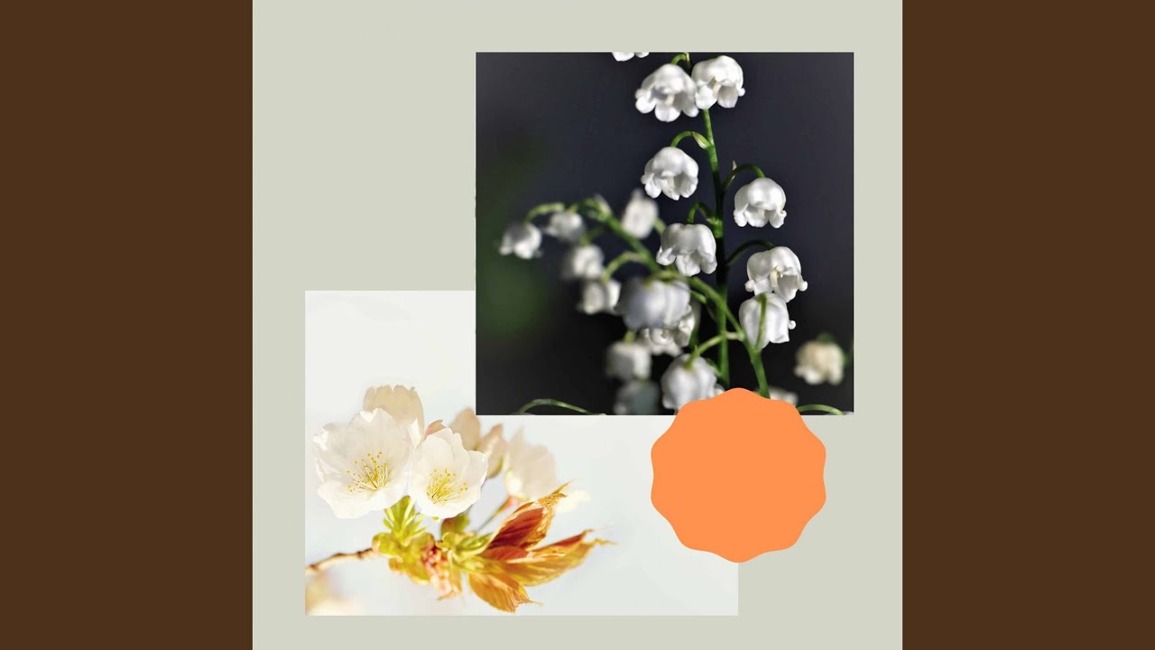 Exquisite Backdrops for Lazy Days