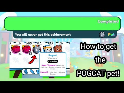 Pogcat How to get the *POGCAT* pet in Pet Simulator X! - YouTube