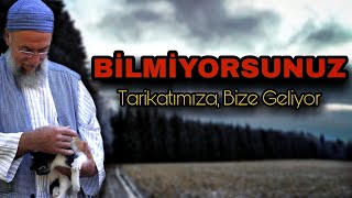 55. Nakşibendi Edebi...