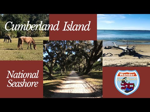 Vidéo: Visitez L'île Cumberland, Géorgie