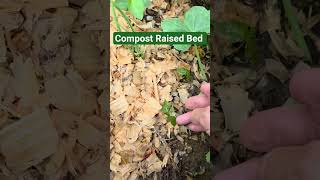Compost Bin/Raised Garden Bed #composting #squash #gardening #garden #raisedbedgarden
