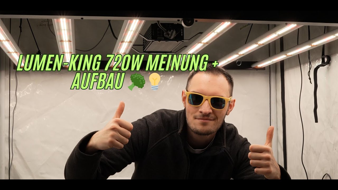 Lumen-King 720W Vollspektrum LED Beleuchtung 💡