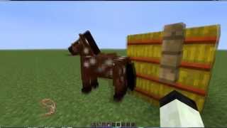 Snapshot 13W24A - Crazy Horses
