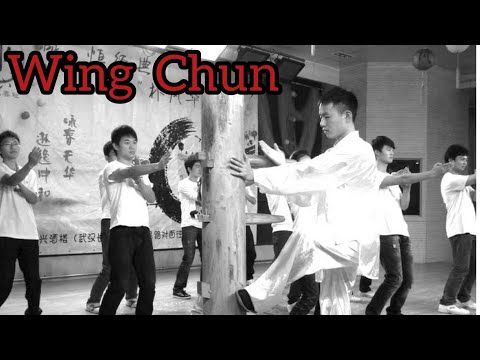 #12 daily kungfu training and tutorials / wing chun hands techniques and training drills / 咏春教学