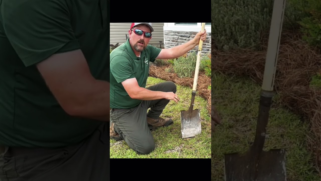 Tucking pinestraw like a pro