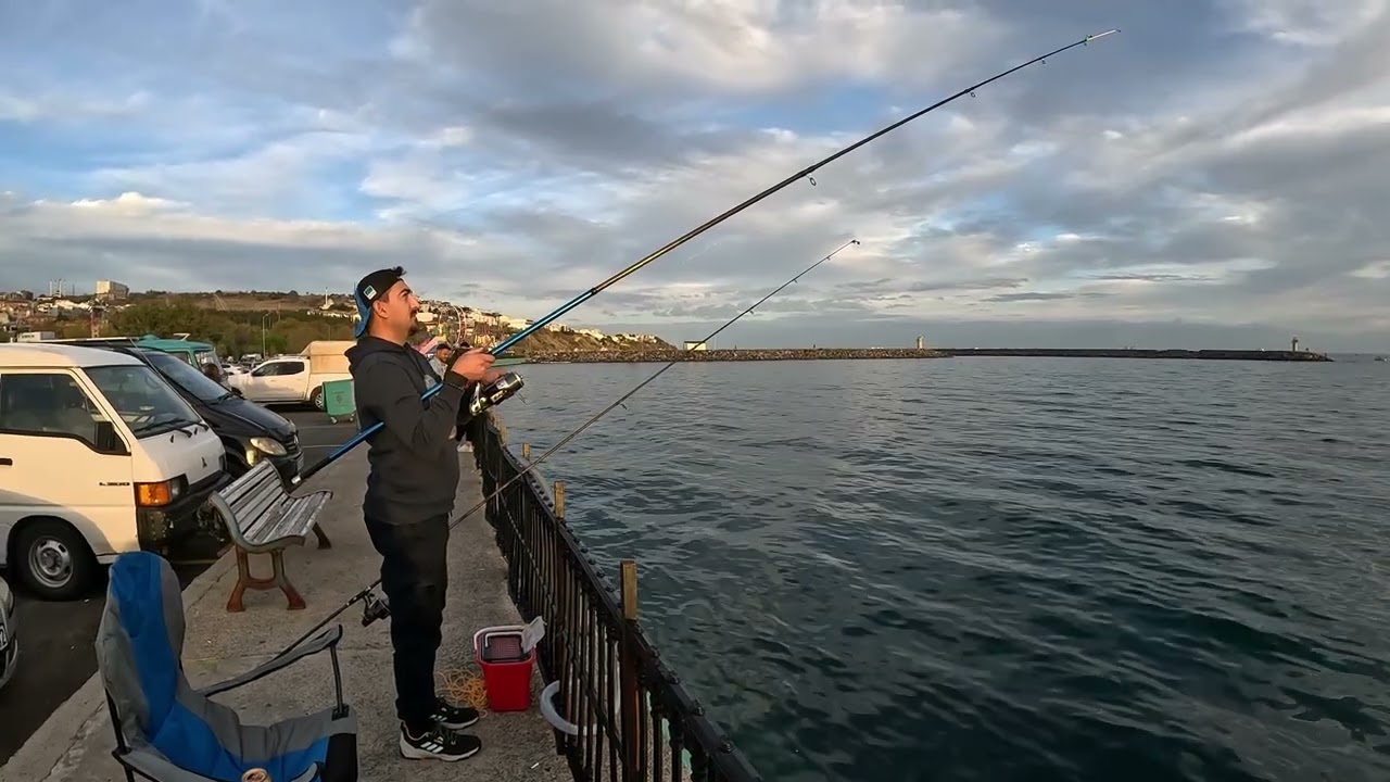 Tekirdağ Sahil - İzmarit Balığı 