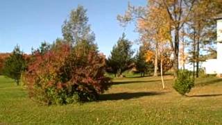 405 Straits Corners Rd Candor NY , REMAX IN MOTION
