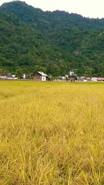 Taragak Pulang