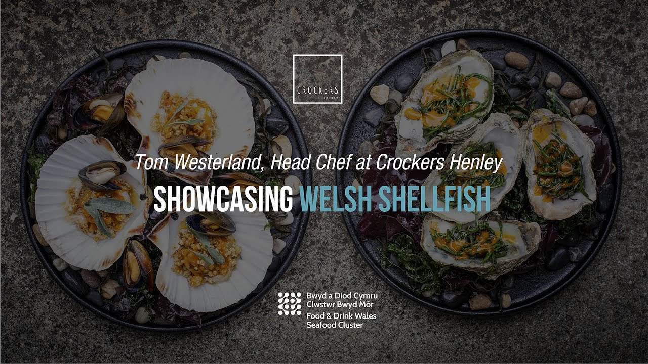 Showcasing Welsh Shellfish with Tom Westerland, Head Chef at Crockers ...
