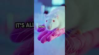 The Basics of Drug Stability Testing