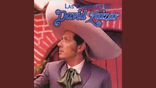 Video thumbnail of "David Záizar - Esta Tristeza Mía"