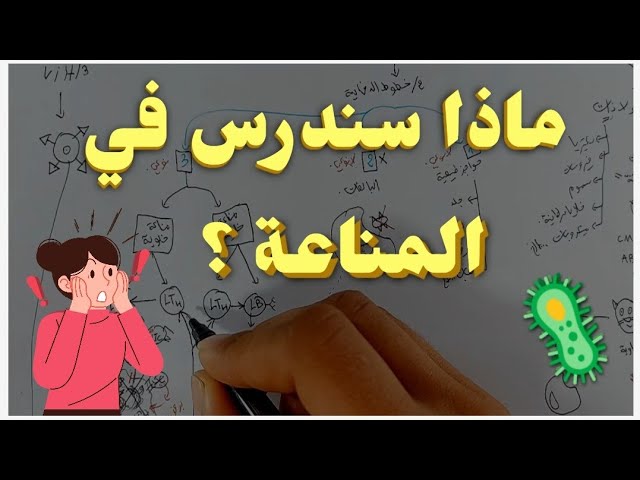 المناعة 🦠
