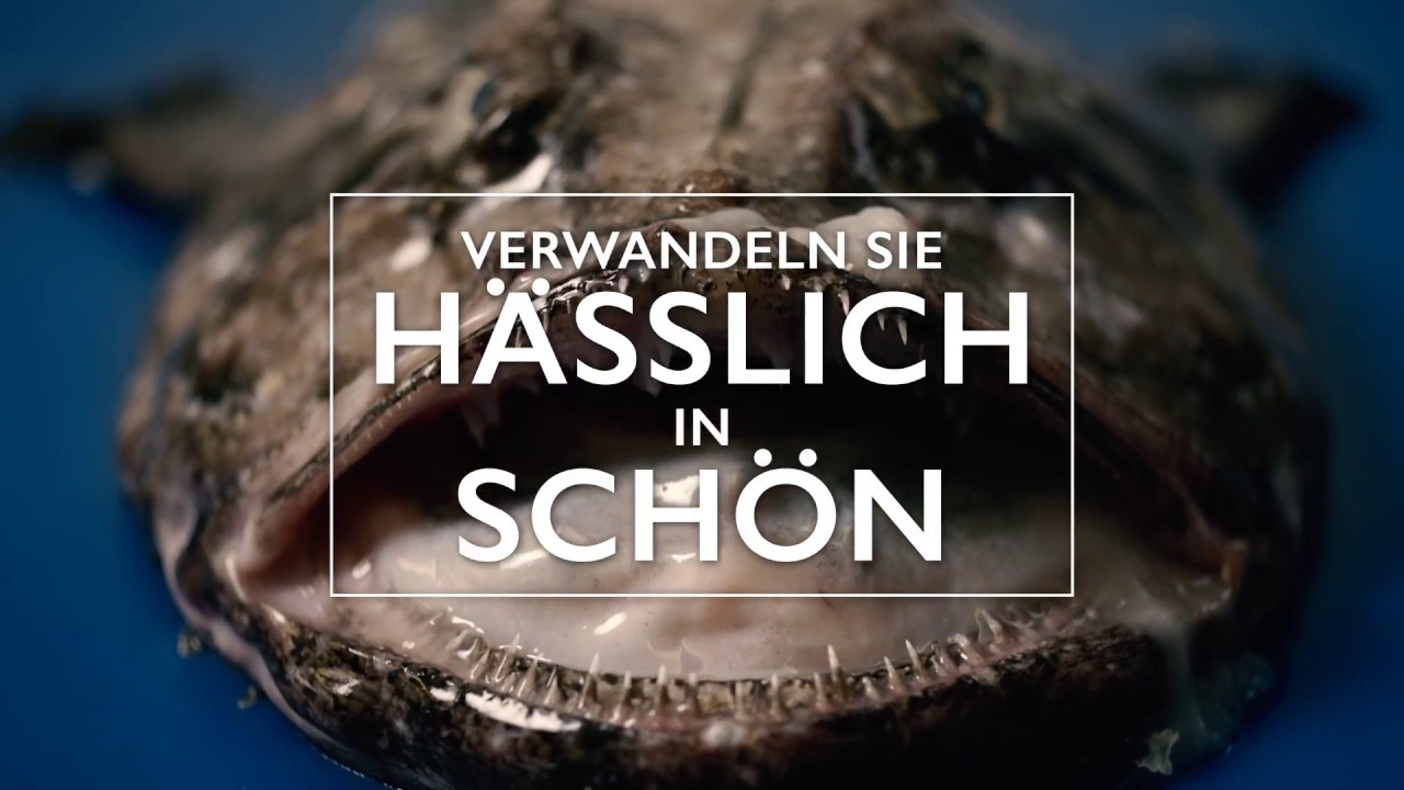 Fisch Teufel Fisch Teufel
