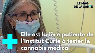 Cannabis thérapeutique : feu vert pour l'expérimentation - Le Magazine de la Santé