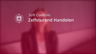 Soft Controls Toolkit - Zelfsturend Handelen screenshot 2