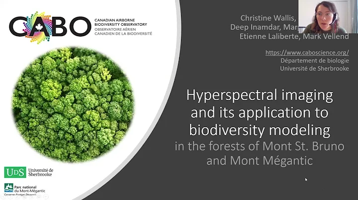 Christine Wallis - Hyperspectral imaging and its a...
