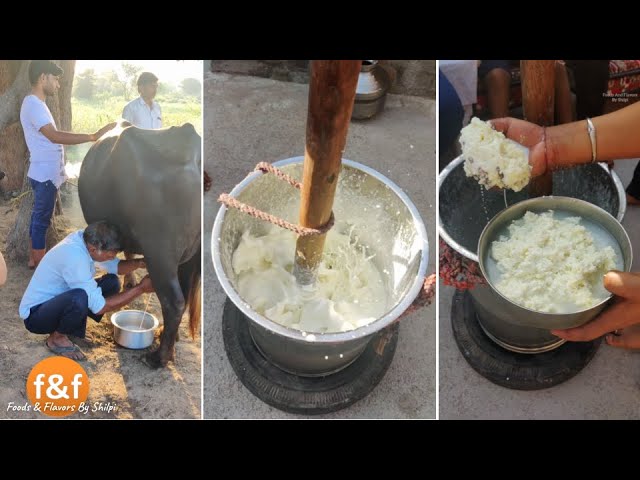 चलिए मेरे साथ गांव और सीखते हैं दही से मक्खन कैसे निकाला जाता है Make perfect Butter from Curd | Foods and Flavors