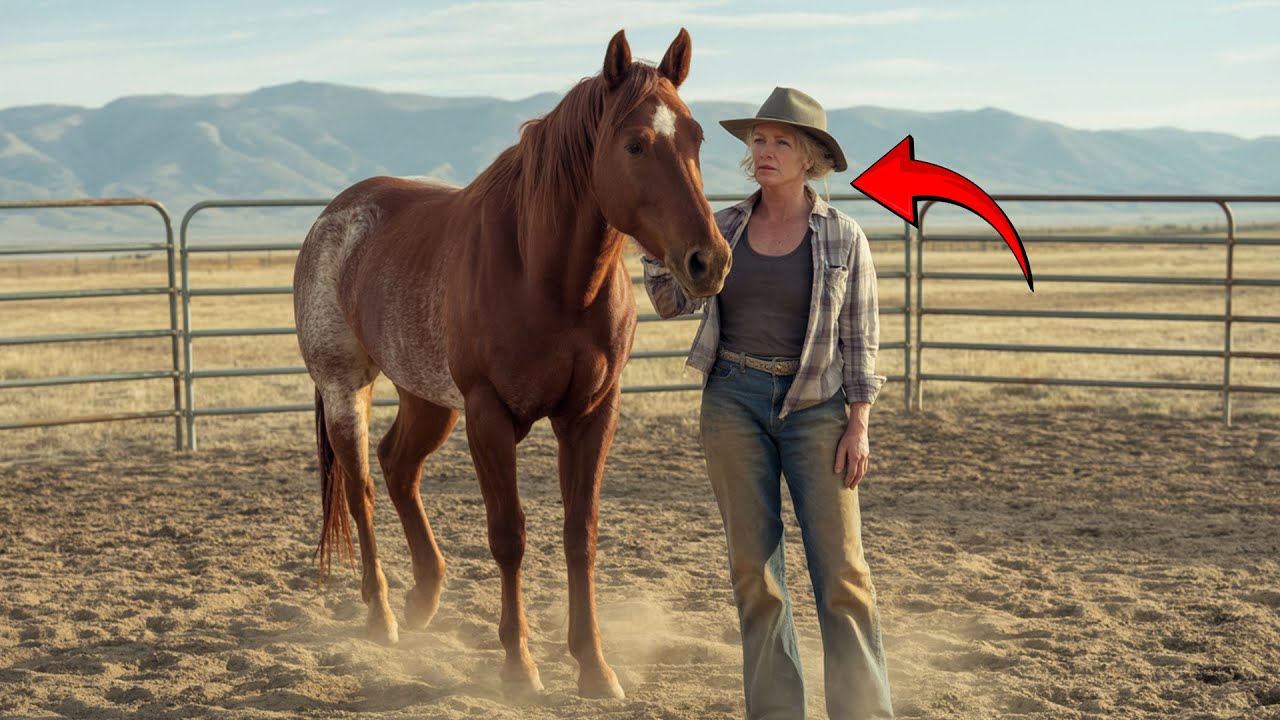 No Rancher Could Tame This Wild Horse— Then a Mountain Woman Did Something Unbelievable!
