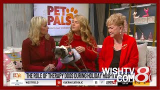 ‘Pet Pals TV’ | Eskenazi Hospital’s therapy dogs bring comfort during the holidays