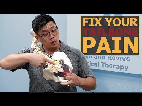 Tailbone Pain? The Best Exercise To FIX It | Coccyx Heel Press
