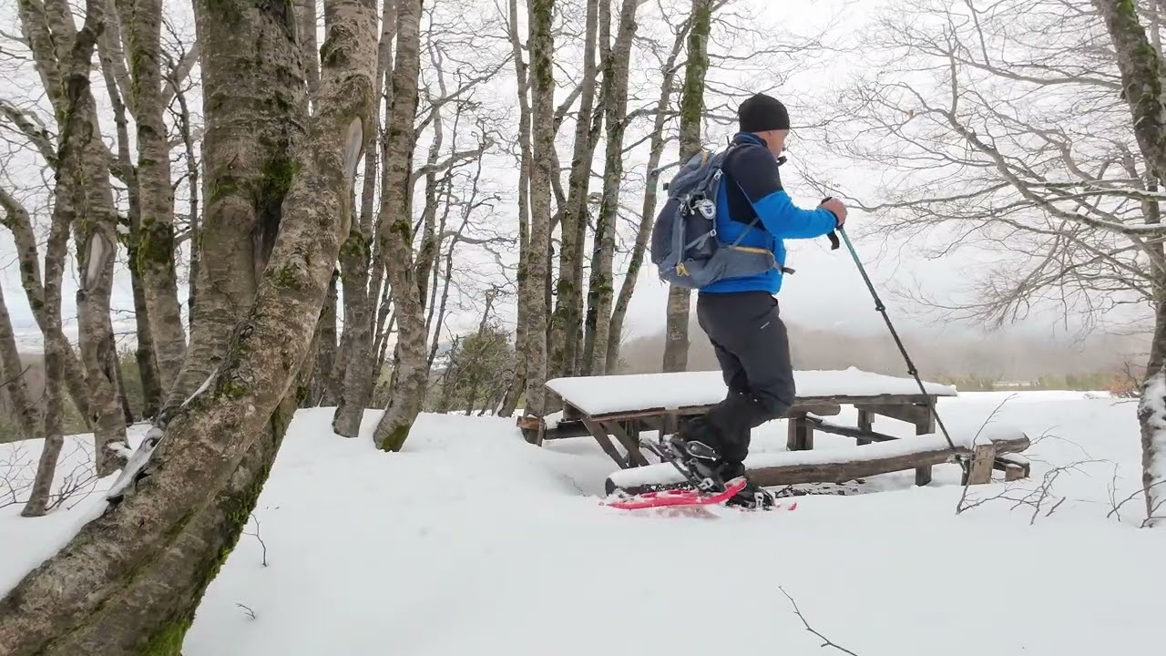 Monte Scuro - La Pagliara - Strada delle Vette (Parco Nazionale della Sila)