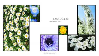 [HONEY SOFT] しあわせのはね - I've found You - (2007)