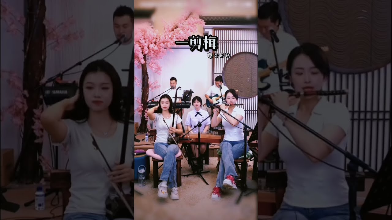 A Spray of Plum Blossoms《#一剪梅》Tangyin #唐音乐队 #笛子 #dizi #二胡 #erhu #soothingmusic  #goodvibes
