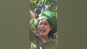 Thành quả một ngày đi rừng (p2) #Trieuthimay #cuộcsốngmiềnnúi #cuộcsốnghàngngày