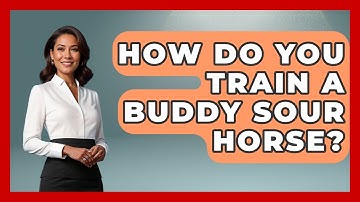 How Do You Train A Buddy Sour Horse? - The Horses Stable