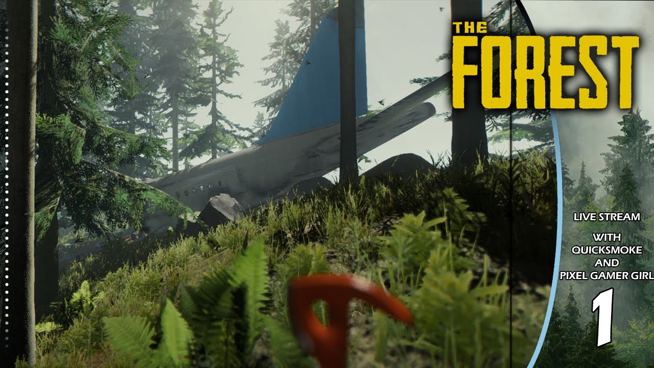 The Forest - Live Stream - With Quicksmoke and Pixel Gamer Girl - Part 1
