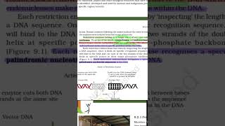 RE-NEET 2026 Biology One Shot Revision 🔥 Full Syllabus Crash Course