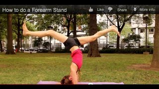 How to do a Forearm Stand