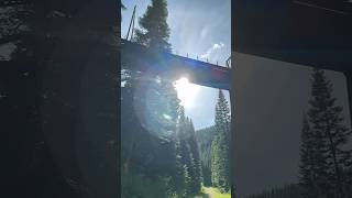 🛤️ Abandoned Railroad Trestle in the middle of the National Forest