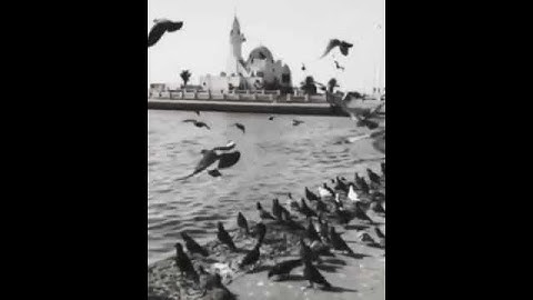 ﴿إن الله وملائكته يصلون على النبي يا أيها الذين آمنوا صلوا عليه وسلموا تسليما﴾ القارئ / سعود الشريم