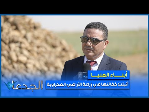 حصاد بنجر السكر في أراضي أبناء المنيا مبهر وأرباح المستثمرين مضمونة بعد التوريد