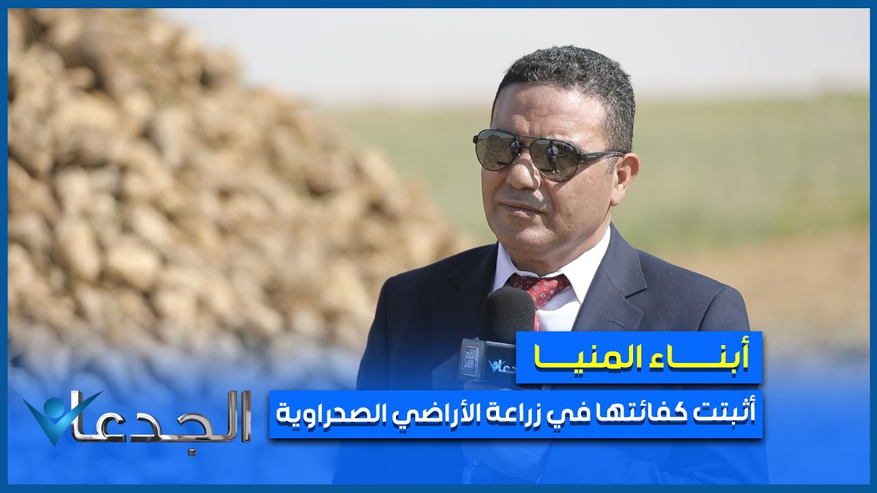 حصاد بنجر السكر في أراضي 