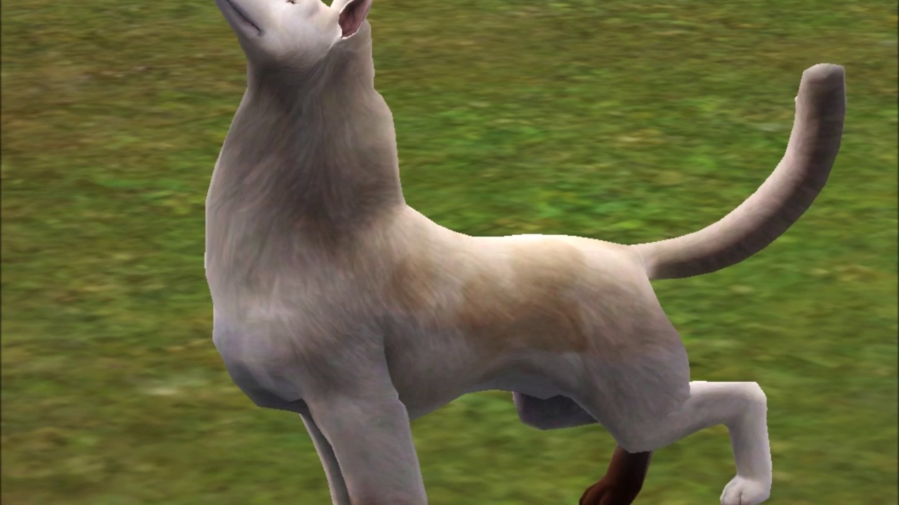 Left To Break Episode 1 Aggresion (A sims 3 pets dogs story) YouTube