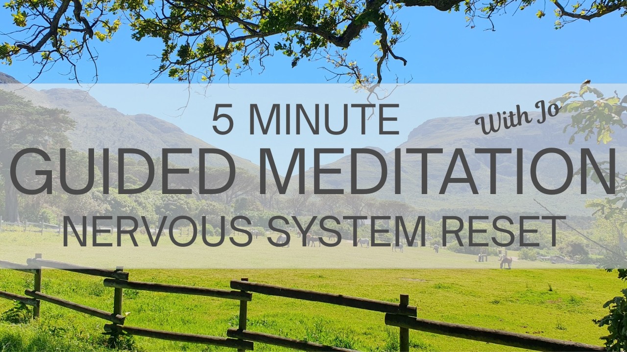 Five Minute Guided Meditation | Nervous System Reset - YouTube