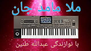 ملا مامد جان با نوازندگی عبدالله طنین|molla mamad jan Afghani, piano, keyboard