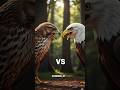Battle Between Birds Sparrow vs Pigeon vs Crow vs Owl vs Falcon vs Eagle vs Vulture vs Hawk  mp3