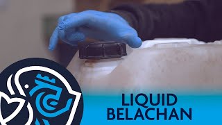Liquid Belachan | 'Liquid version of the fermented Shrimp' | British Aqua Feeds