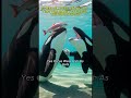 10 Mind Blowing Orca Facts That Will Make You Forget the Boat Attacks