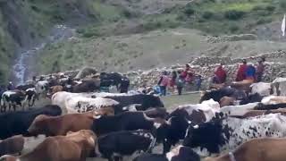 Carnaval Santa Victoria Oeste 2020 Trigo Huayco en Jesús Vilca 😘😘👏💪