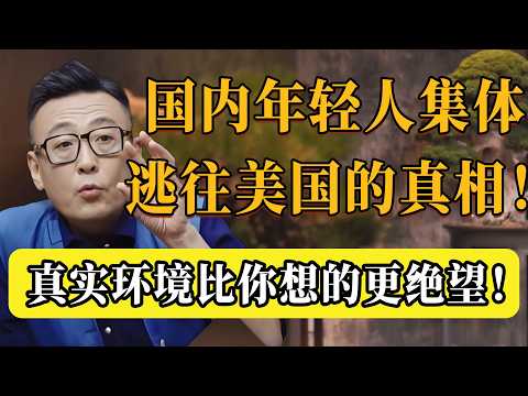 為什麼年輕人在國內活不下去了？看到他們集體逃往美國，真相太讓人絕望！#圆桌派 #许子东 #马家辉 #梁文道 #锵锵行天下 #观复嘟嘟 #马未都 #纪实talk