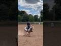 Can You Believe This Horse Was Once Feral??? Meet Spirit Pt.5