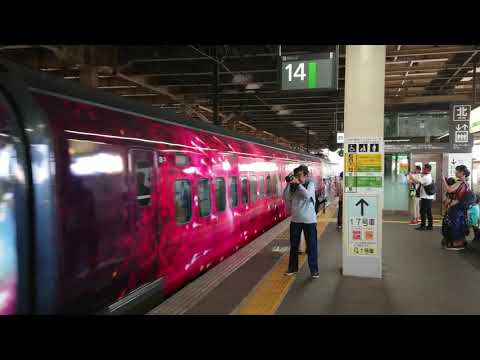 大宮に現美新幹線が上陸した❗