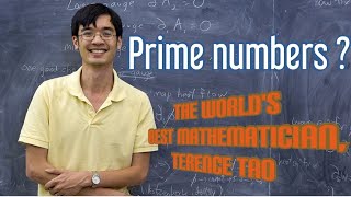 Terence Tao,Mozart of Math| The world's best mathematician right now| #terence # world #maths