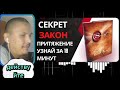 КНИГА СЕКРЕТ КОРОТКО ТОЛЬКО САМЫЕ ВАЖНОЕ