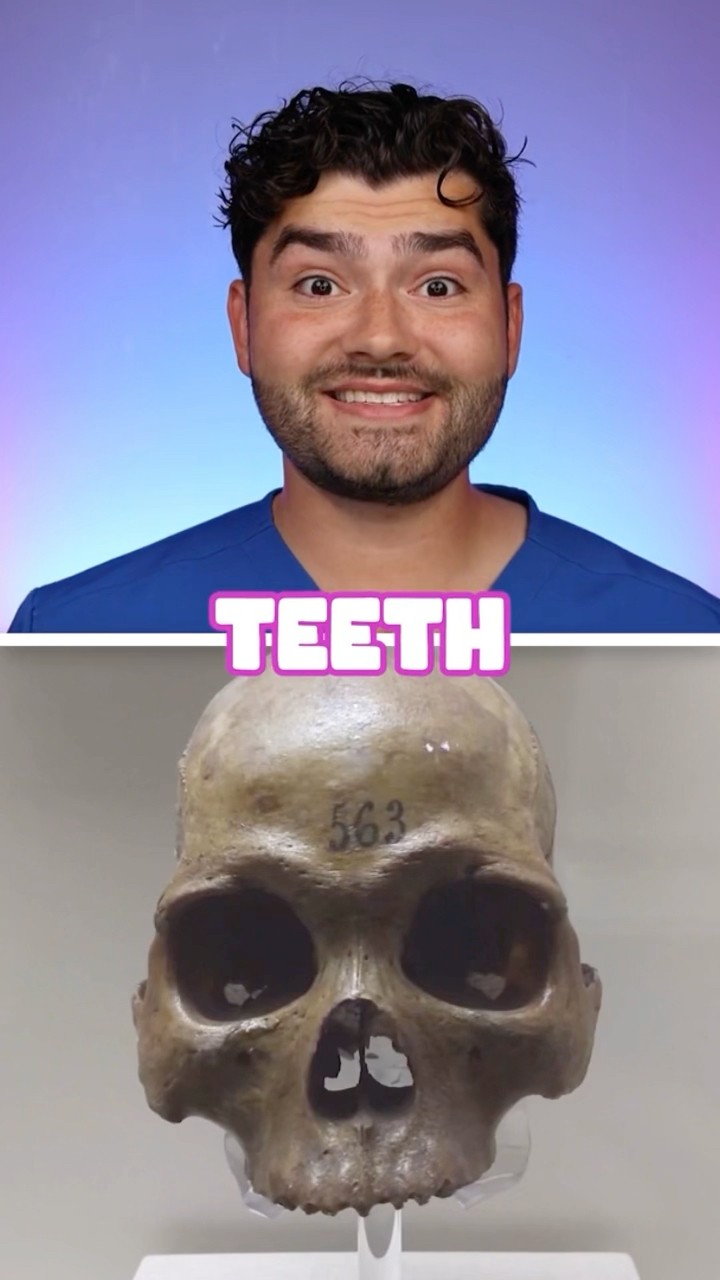 Scary Teeth Story !?