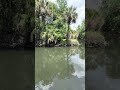 #exploreflorida #explorenature #floridawater #floridanature #centralflorida